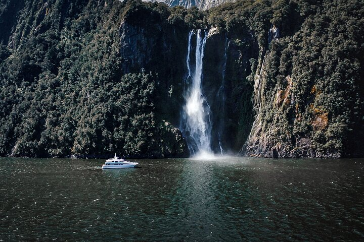 Milford Sound Cruise - Photo 1 of 12